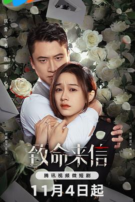 四川网站建设和优化公司